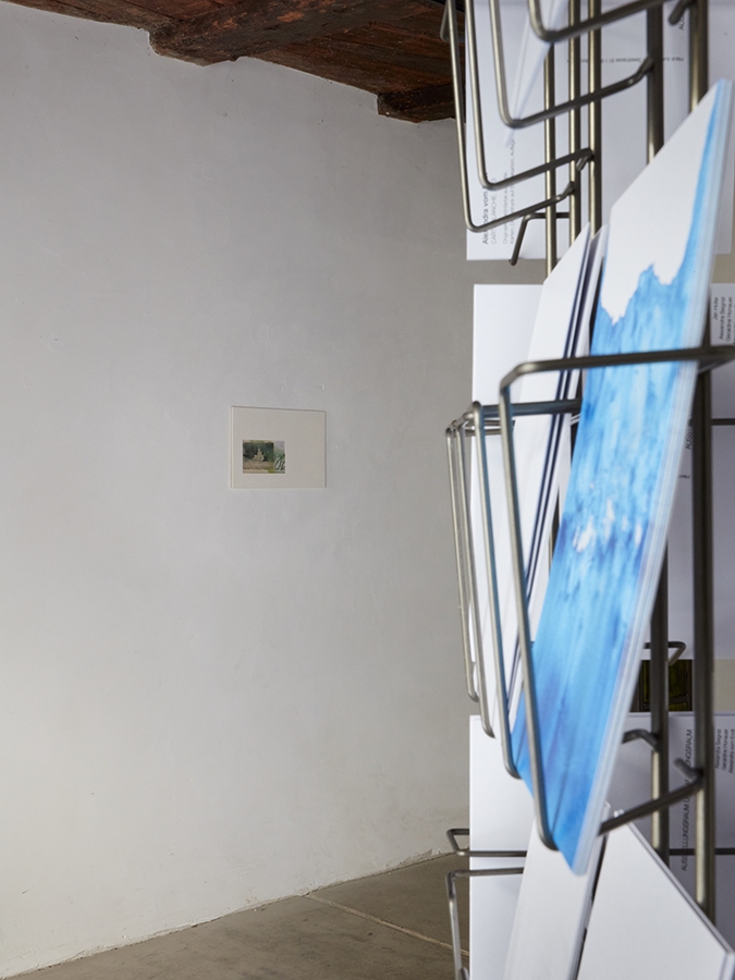 20231120_P0034_0077_915-web_medium 20231120_P0034_0077_915-web_medium