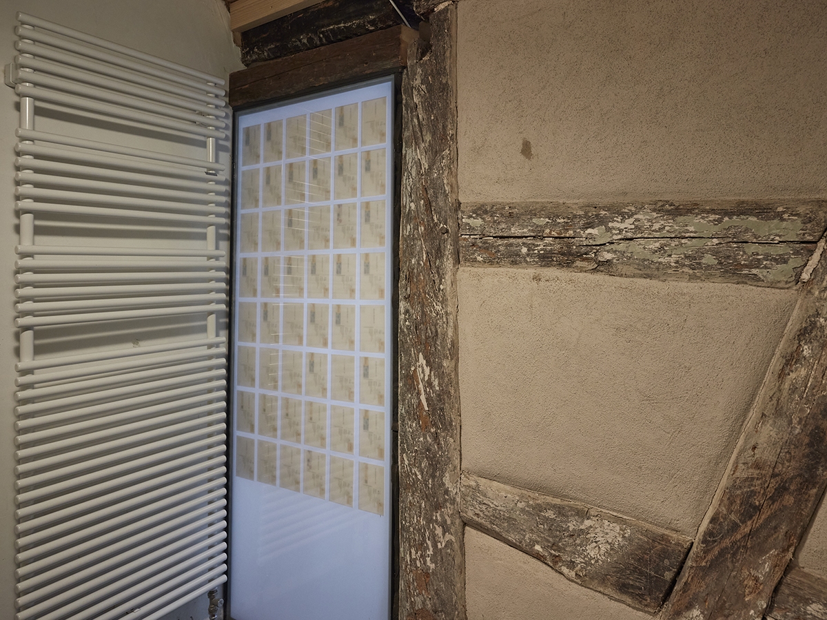 20231120_P0034_0293_915_web.medium 20231120_P0034_0293_915_web.medium