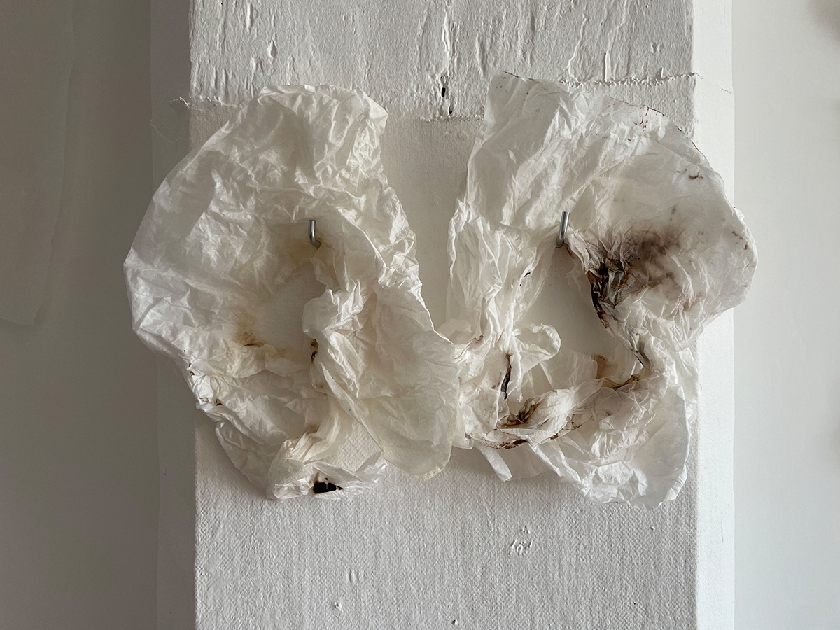 IMG_4275-2-Kopie IMG_4275-2-Kopie