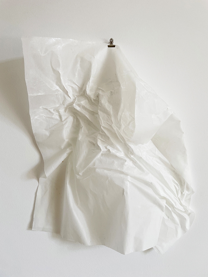 IMG_4441-Kopie-2 IMG_4441-Kopie-2