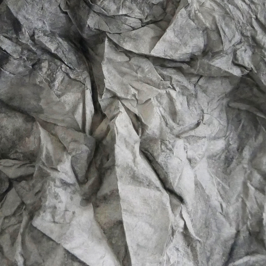 P1340491-Kopie P1340491-Kopie