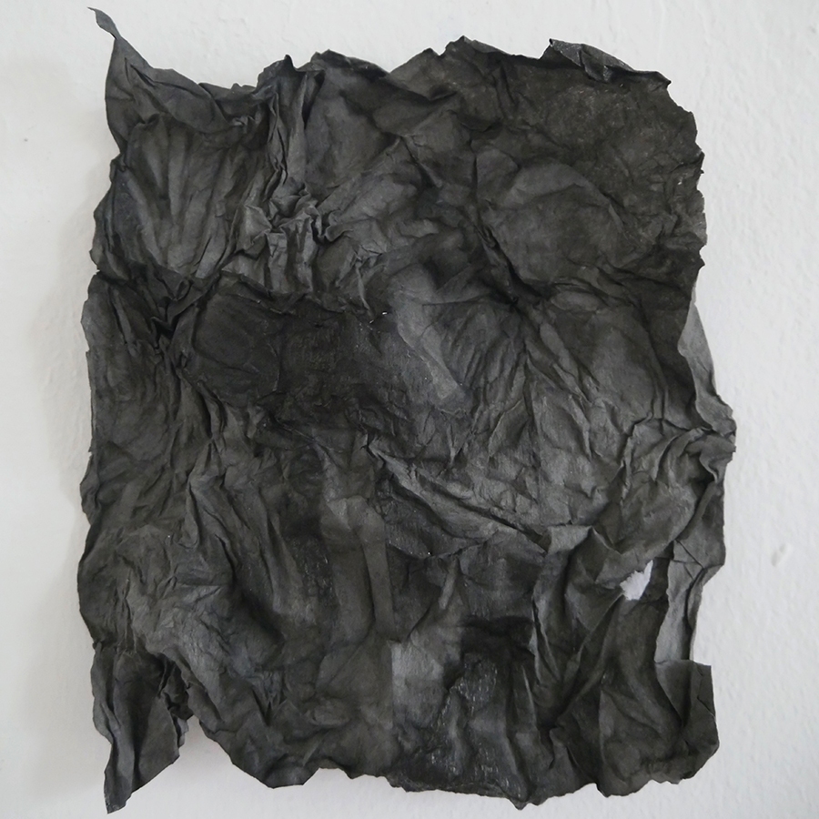 P1340498-Kopie P1340498-Kopie